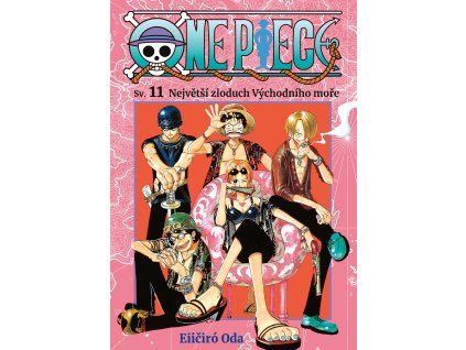 one piece 11