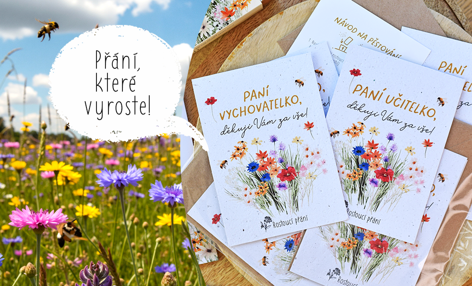 Rostoucí přání pro paní učitelku