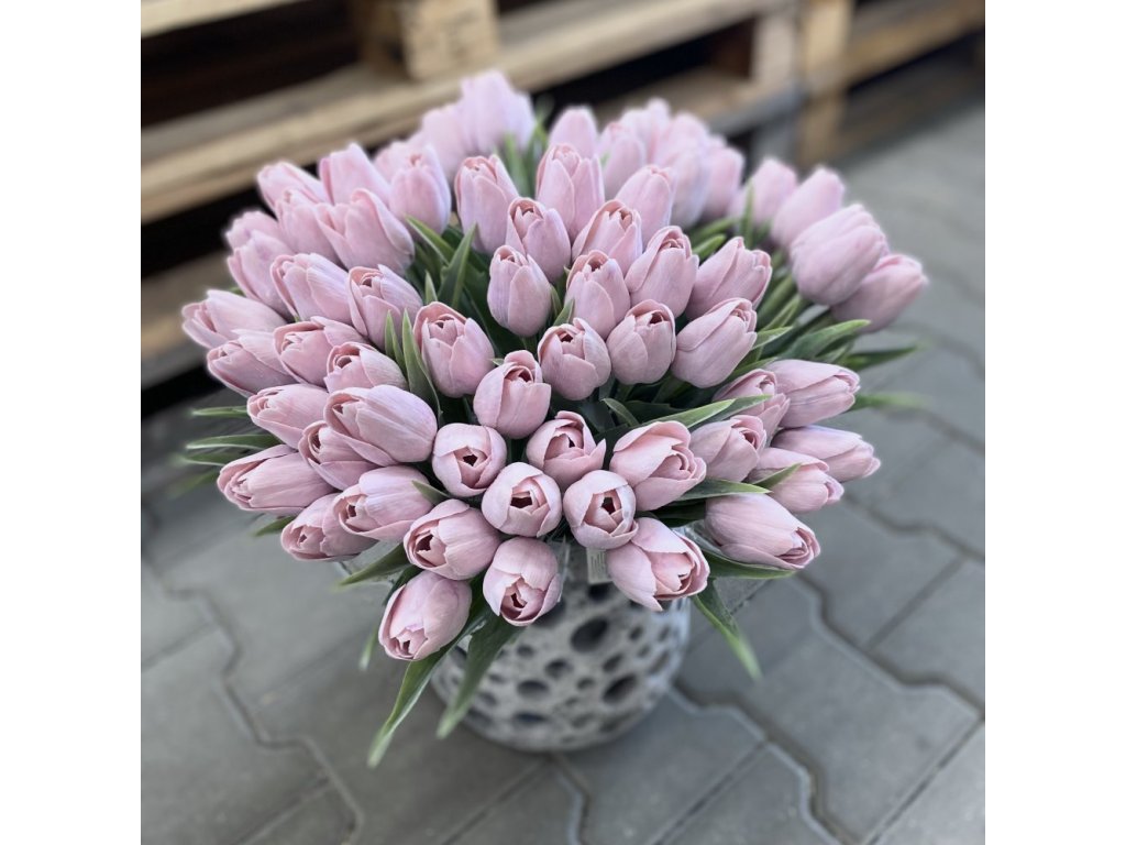 Tulipán s listem (6 ks) - baby růžová