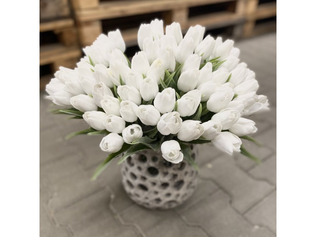 Tulipán s listem (6 ks) - bílá