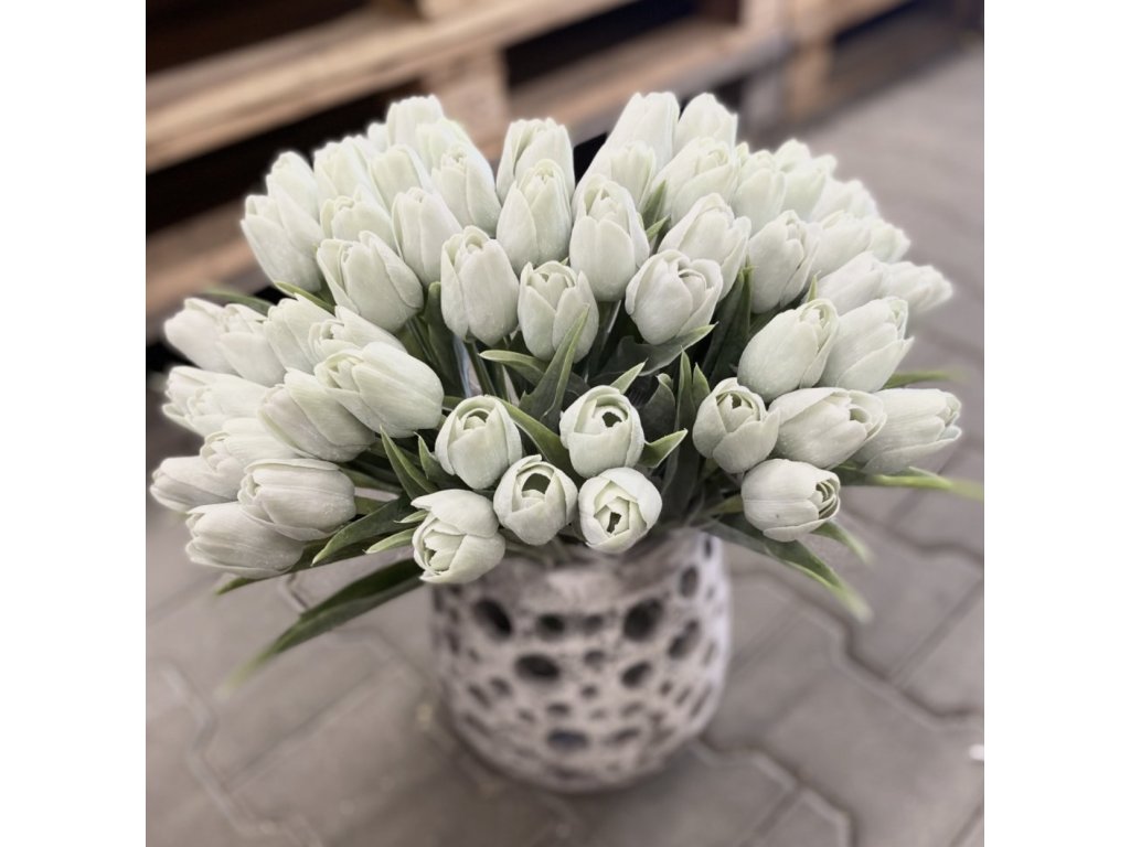 Tulipán s listem (6 ks) - mentol