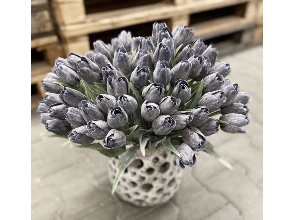 Tulipán s listem (6 ks) - ostružinová