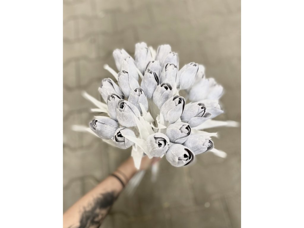 Tulipán s bílým listem (6 ks) - šedá