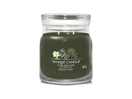 YANKEE CANDLE - Stříbrná šalvěj a borovice - SIGNATURE STŘEDNÍ
