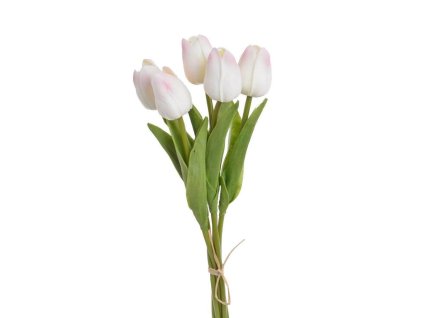 Tulipán pěnový (5 ks) - bílá/růžová