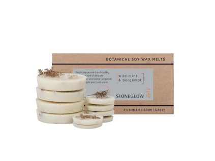Air - Wild Mint & Bergamot Vosk do aromalampy, 10 ks