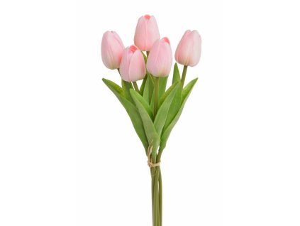 tulipán pěnový (5 ks) - růžová/broskev