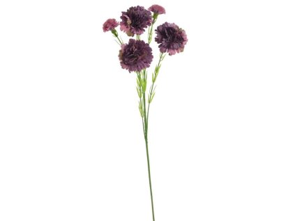 Trsový karafiát 61 cm - tmavá fialová