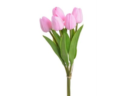 Tulipán pěnový (5 ks) - růžová