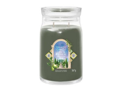 YANKEE CANDLE PARISIAN OLIVE & CYPRESS SIGNATURE VELKÝ