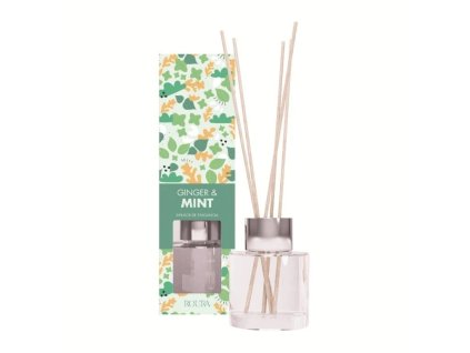 Ginger & Mint Vonný difuzér, 50 ml