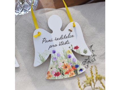 Andílek Barevná louka - Paní ředitelce