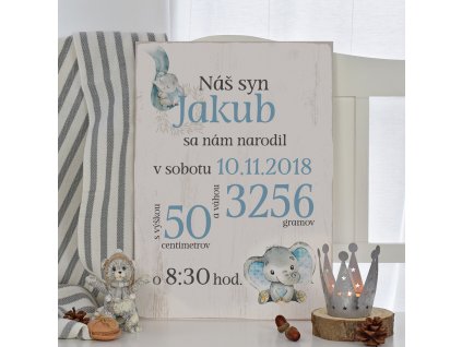 Dětská cedulka - Můj první den (kluk) SK
