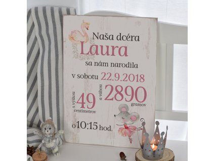 Dětská cedulka - Můj první den (holka) SK