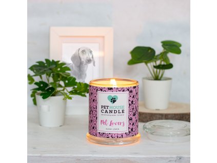Vonná svíčka ve skle - Pet House - Sunny Lemon - 250 g