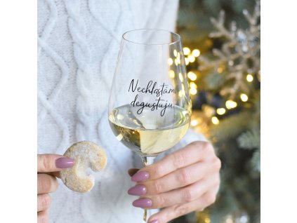 Sklenice na víno - Nechlastám, degustuji.