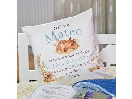 Dětský polštář pro kluka (na míru)