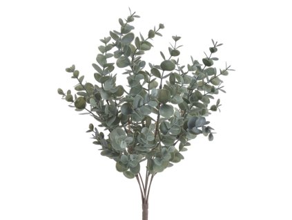 Eukalyptus trs - zelenošedá