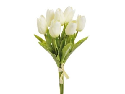 Tulipán pěnový (7 ks) - bílá