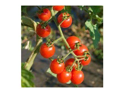 stažený soubor (2)