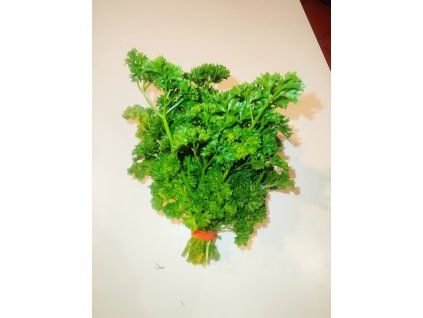 Petržel kadeřavá BIO