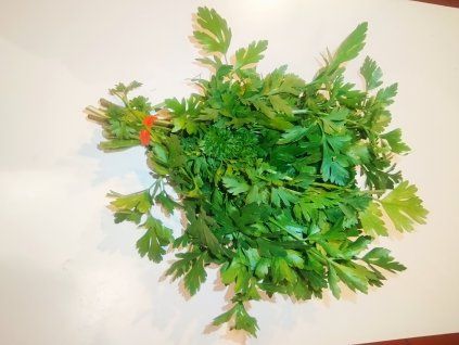 Petržel listová BIO