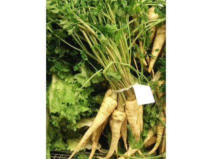 Parsnips with greens