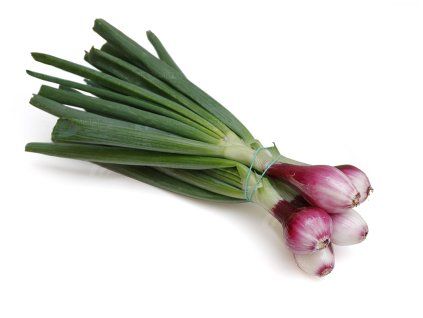 101 cibule cervena s nati