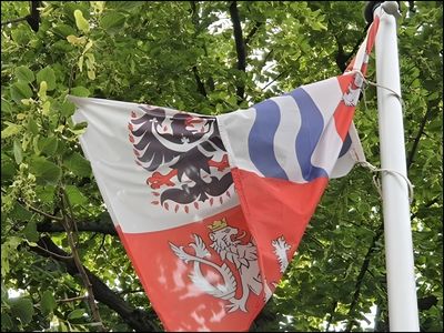 nevyvesovat-u-stromu