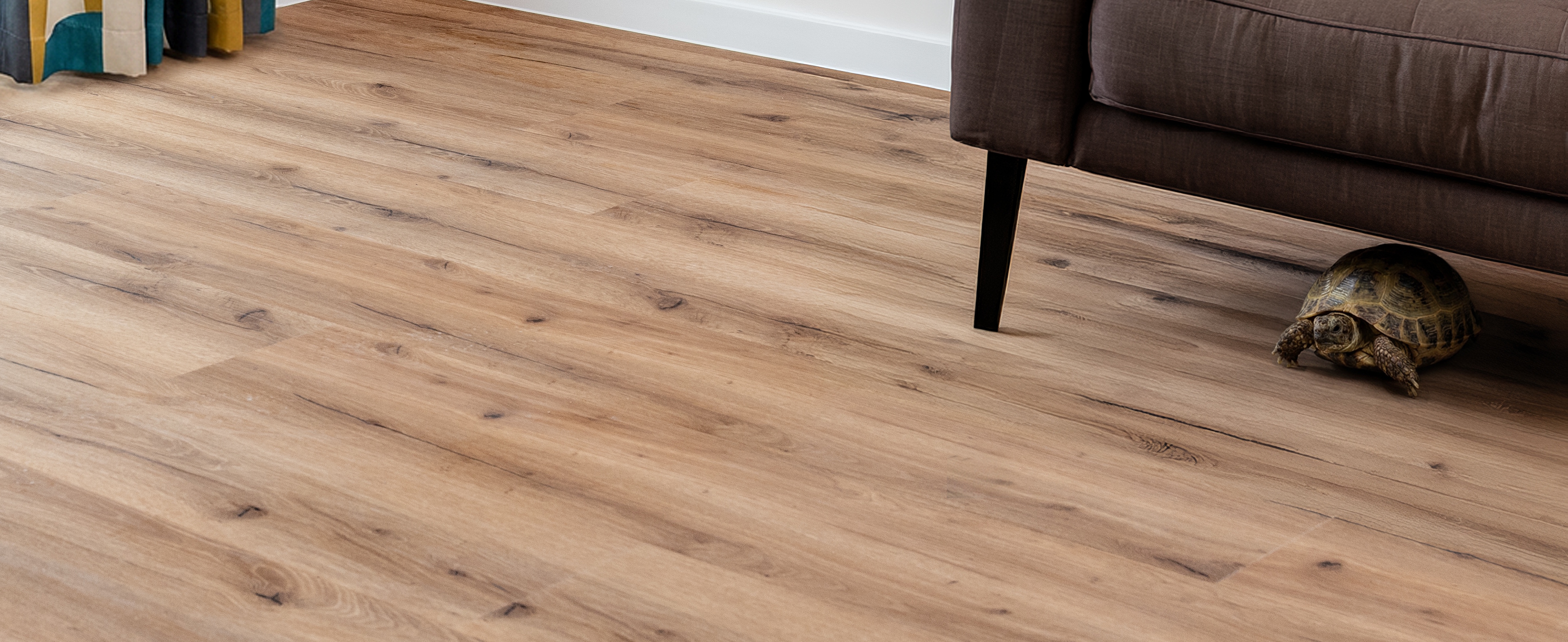 Experto SPC 50 s želvou