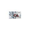 M18 FMDP 502C App 10
