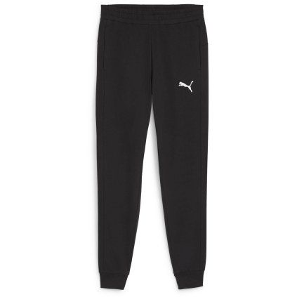 Puma teamGOAL Casuals Pants