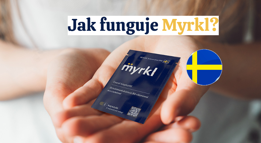 Jak funguje Myrkl?