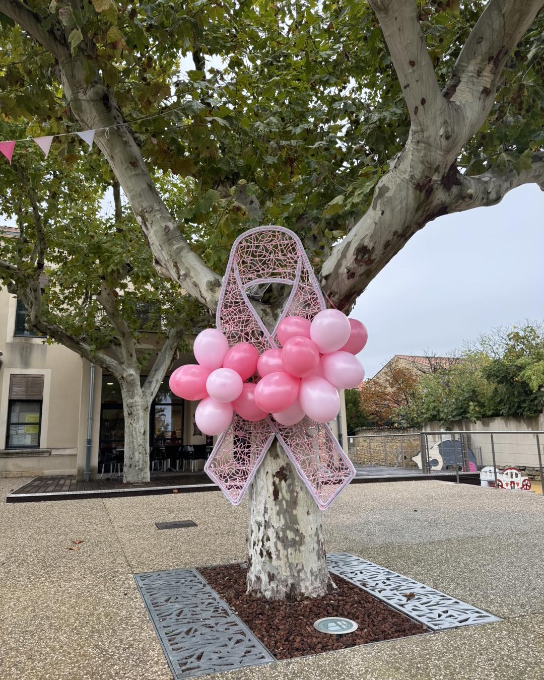 vernegues_octobrerose02