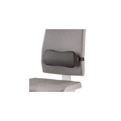 Fellowes Bederní opěrka BREYTA