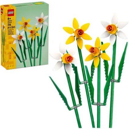 Lego Narcisy 40747 