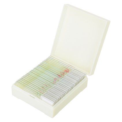 Discovery Prof Specimens DPS 25. Biology, Birds, e