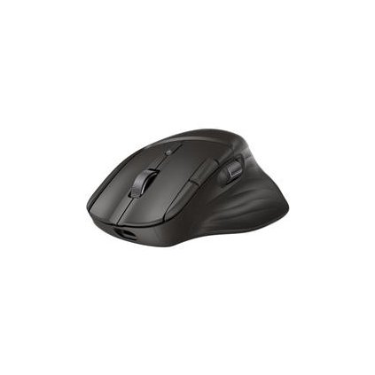 HP Ultra-Fast-Scroll Wireless Mouse 780M