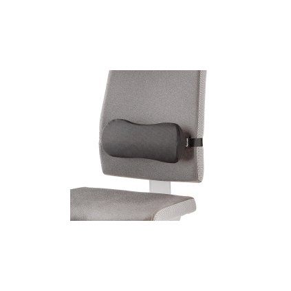 Fellowes Bederní opěrka BREYTA