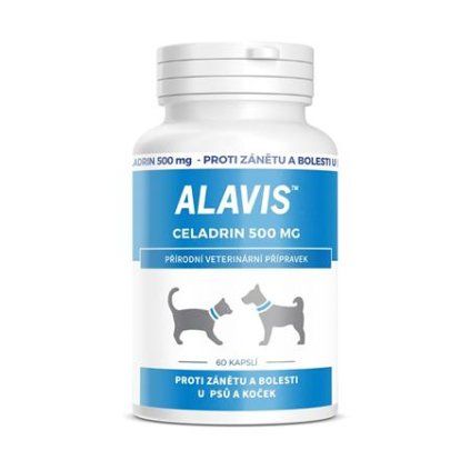 ALAVIS Celadrin 500mg tbl.60