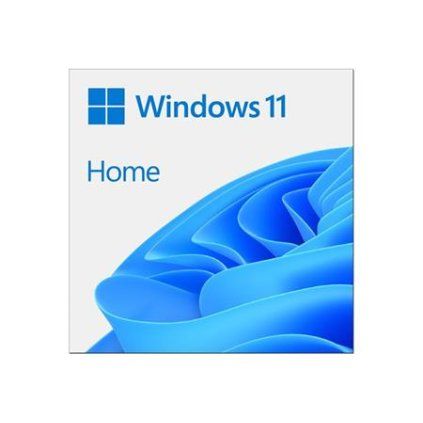 ESD Win Home 11 64-bit All Lng