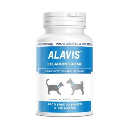 ALAVIS Celadrin 500mg tbl.60