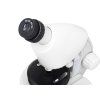 Discovery Micro Polar Microscope