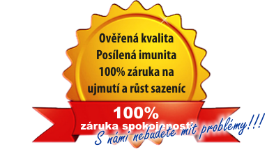 1stpage-100procent