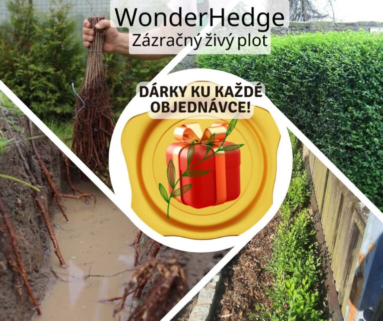 Darky ku kazde objednavce