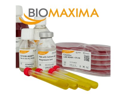558 biomaxima