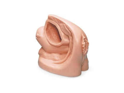R11003