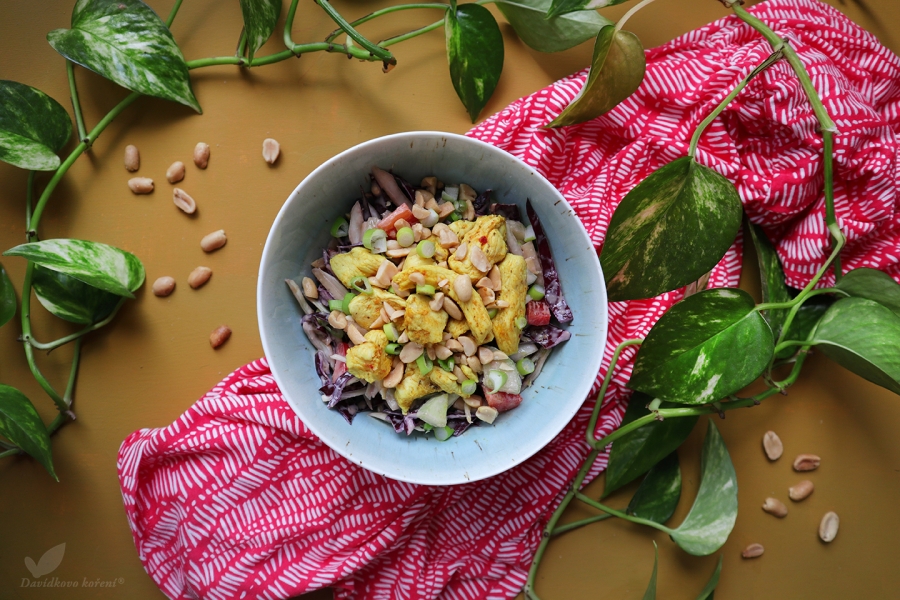 Nízkosacharidový thajský arašídový salát s kuřecím masem