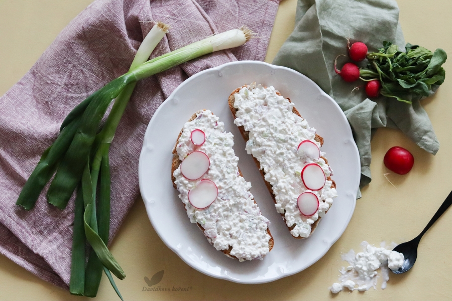 Ředkvičková jarní pomazánka