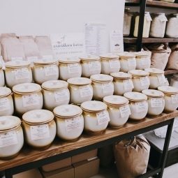 Davídkovo korenie - prezentácia